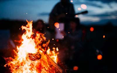 If you only do one green thing…