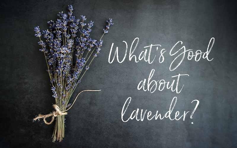 What's Good About Lavender? | What's Good