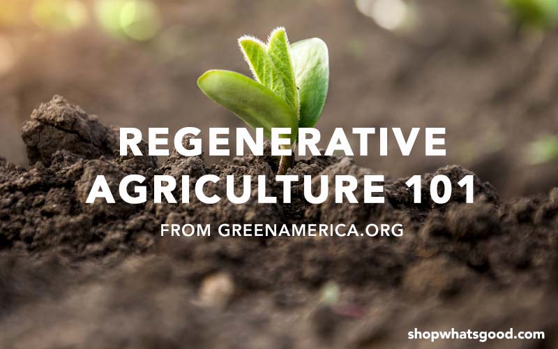 Heal the Soil, Cool the Climate