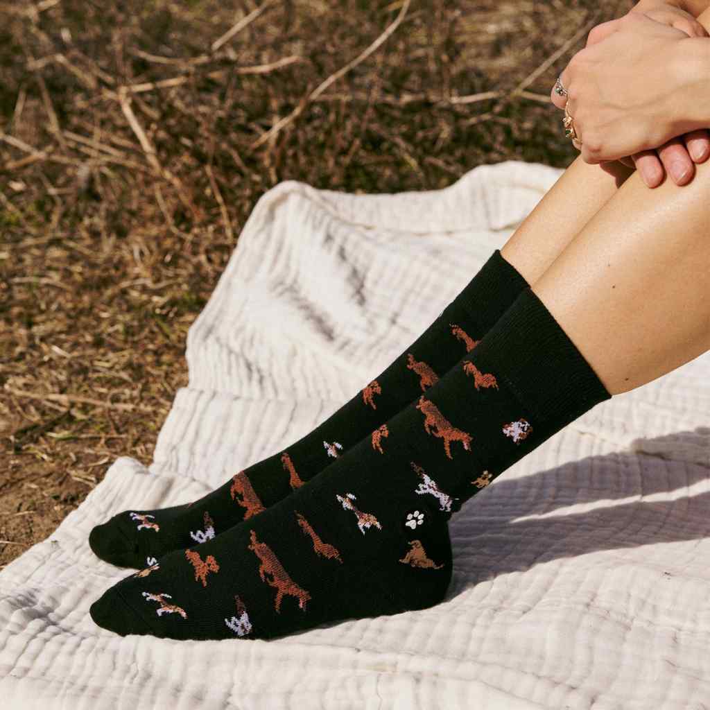 Organic Socks that Save Dogs | Paw Parade