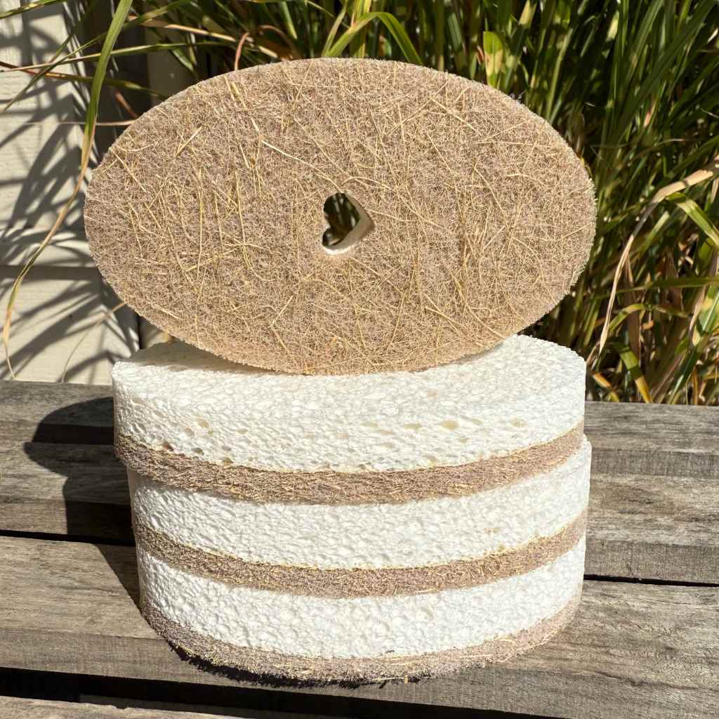 Kitchen Sponges | Oval 4-Pack