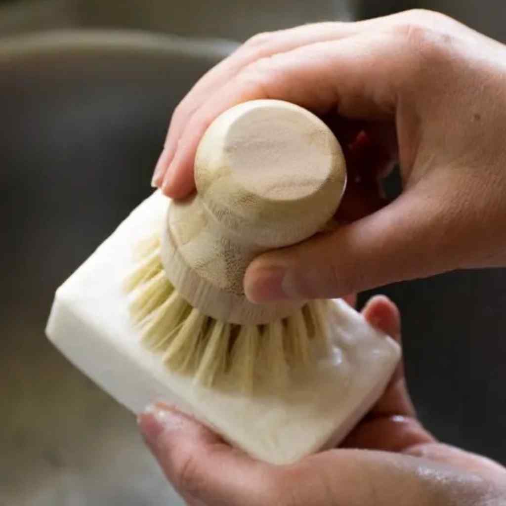 Dish Soap Bar | Fragrance Free