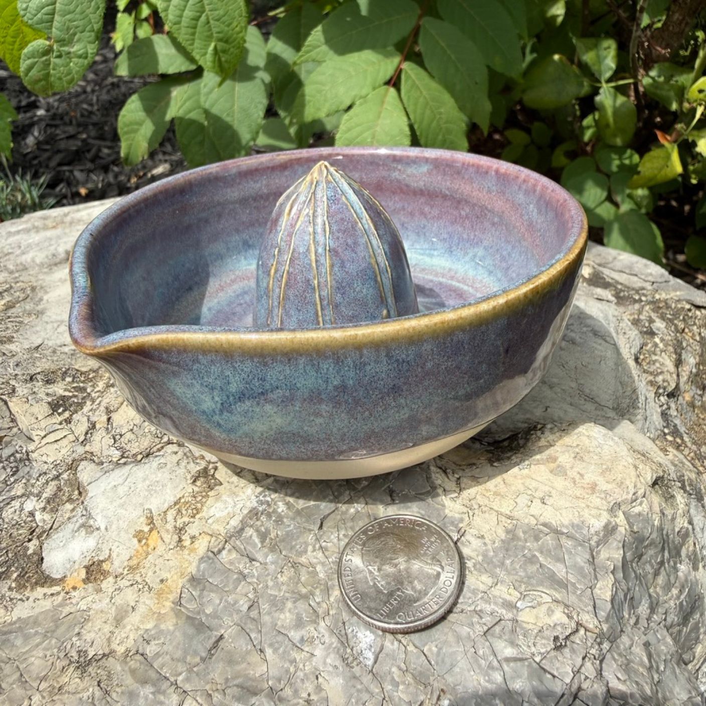 A handmade ceramic citrus juicer bowl sits on a large stone outdoors, with green leaves in the background and a US quarter coin placed in front for scale.