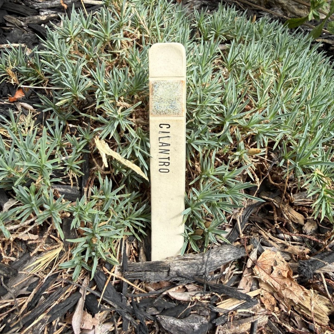 Handmade Garden Markers
