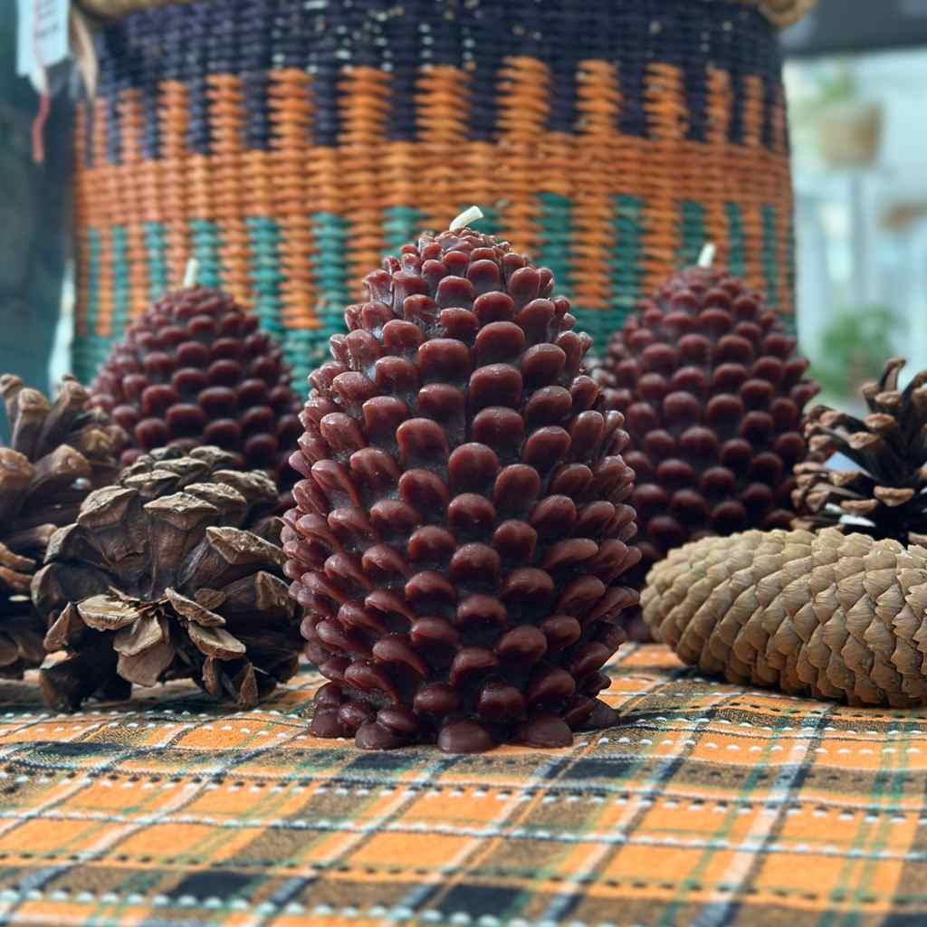 Pine Cone Candle