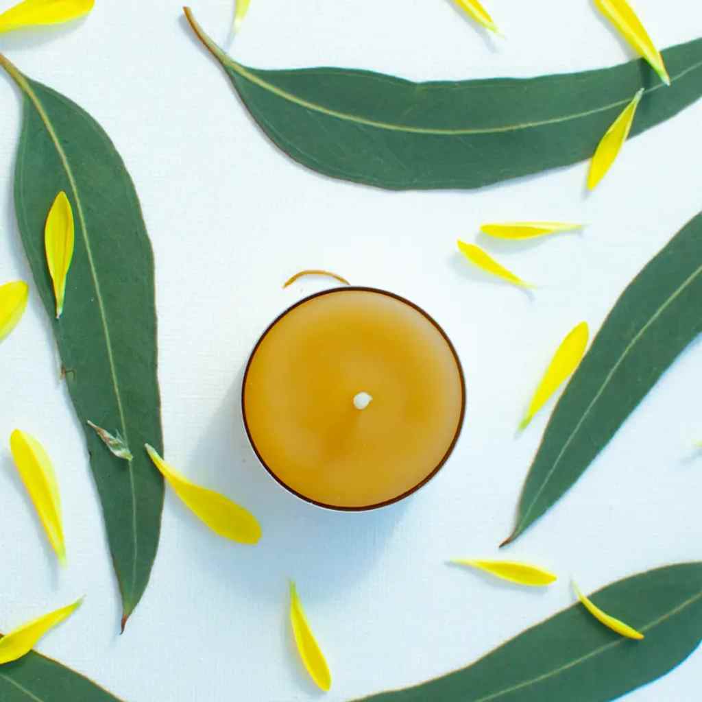 Tea Light Candles | 6-Pack