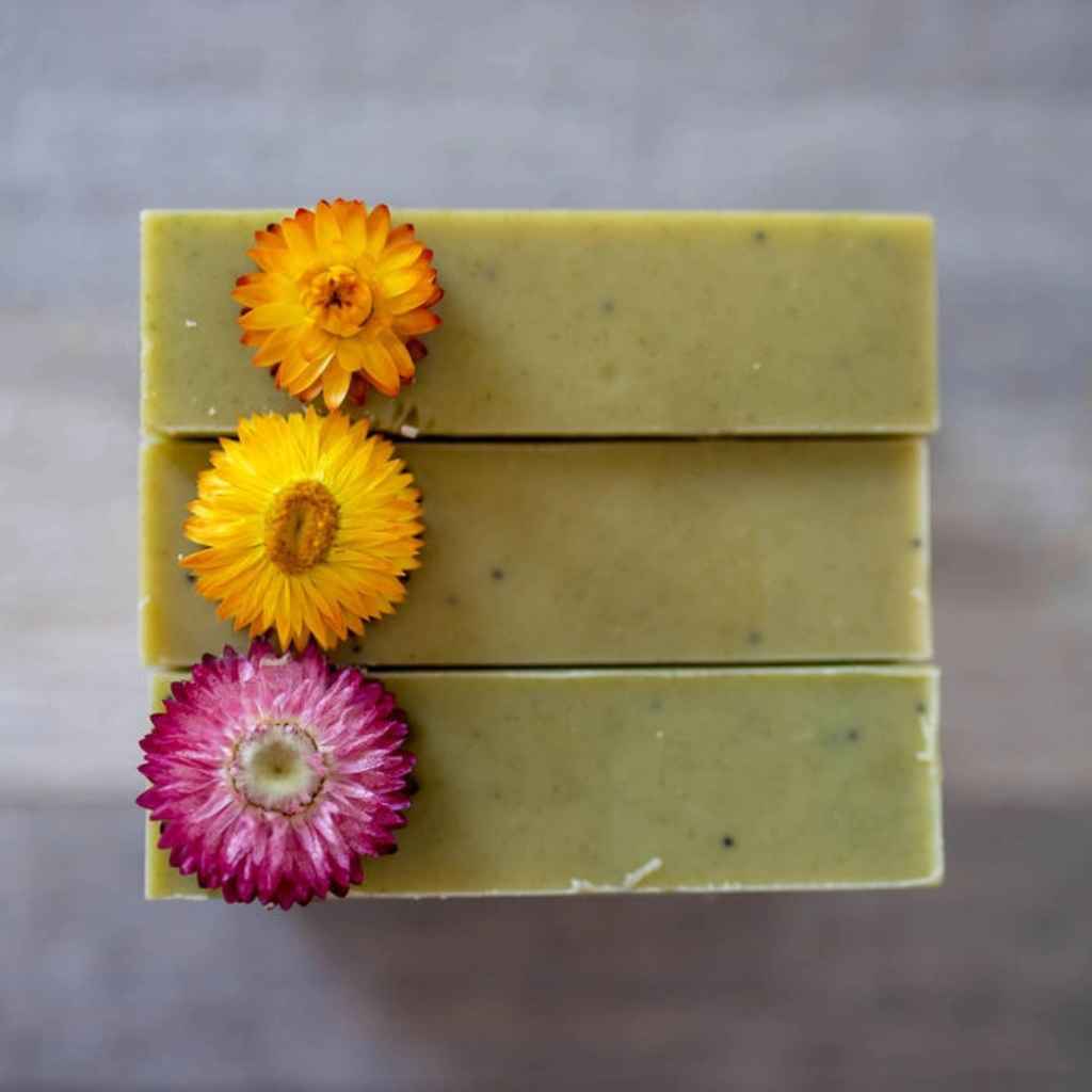 Artisan Soap Bar | Cactus Rose
