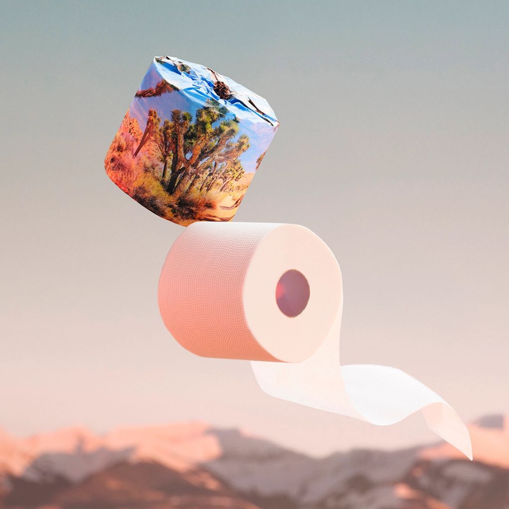 A novelty toilet paper roll with a desert landscape print on the core and a white paper body, floating against a soft pastel sky and mountain backdrop.