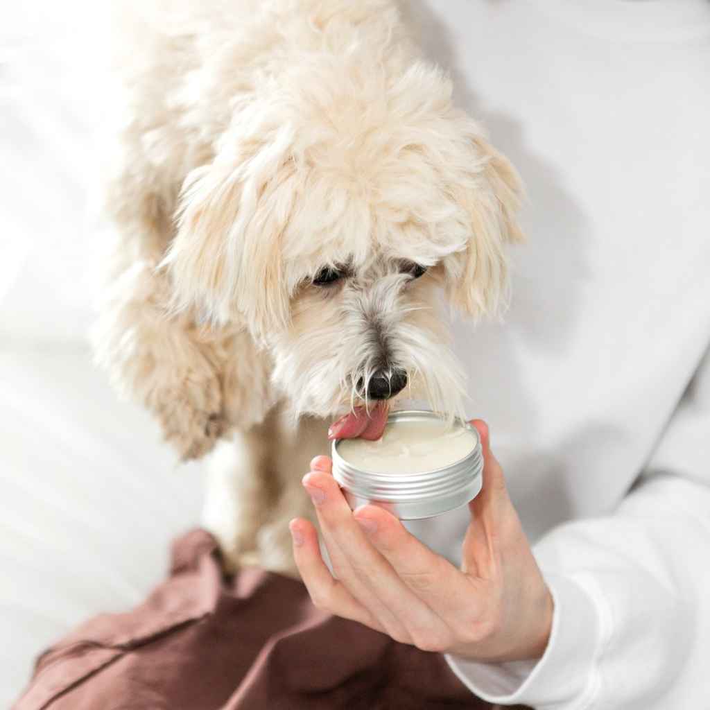 Mona Moon all-natural paw balm to heal irritated and rough dog paw pads is safe for dogs to lick - non-toxic ingredients. Made in Rochester NY USA.