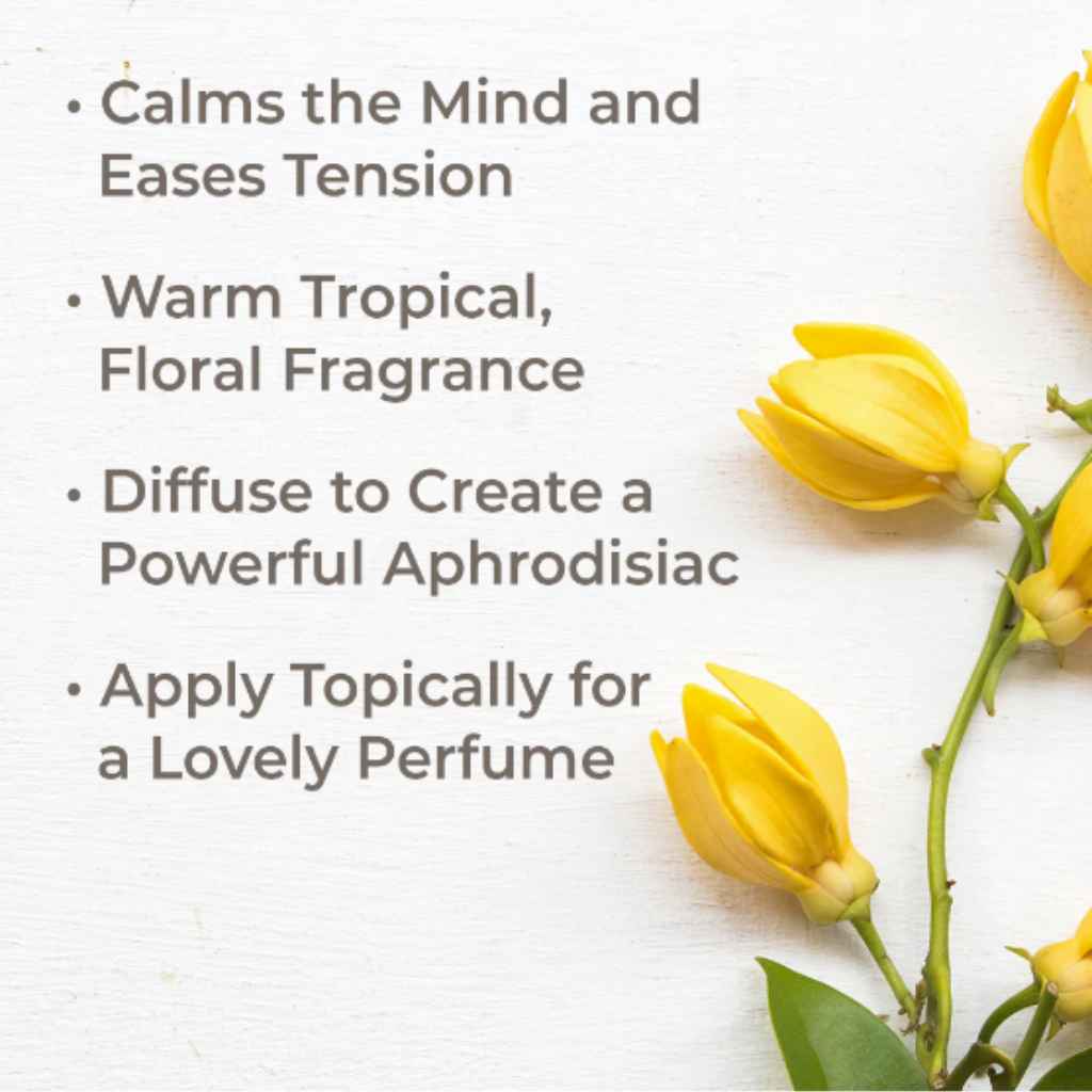 Benefits of organic ylang ylang essential oil blend by Plant Therapy