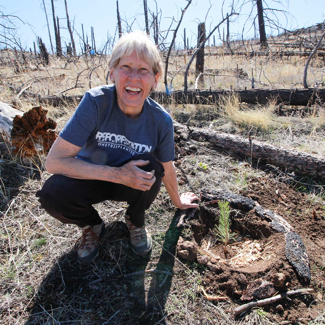 Yes! ADD TO CART & Ship my order in a gently-used box & plant a tree for me!