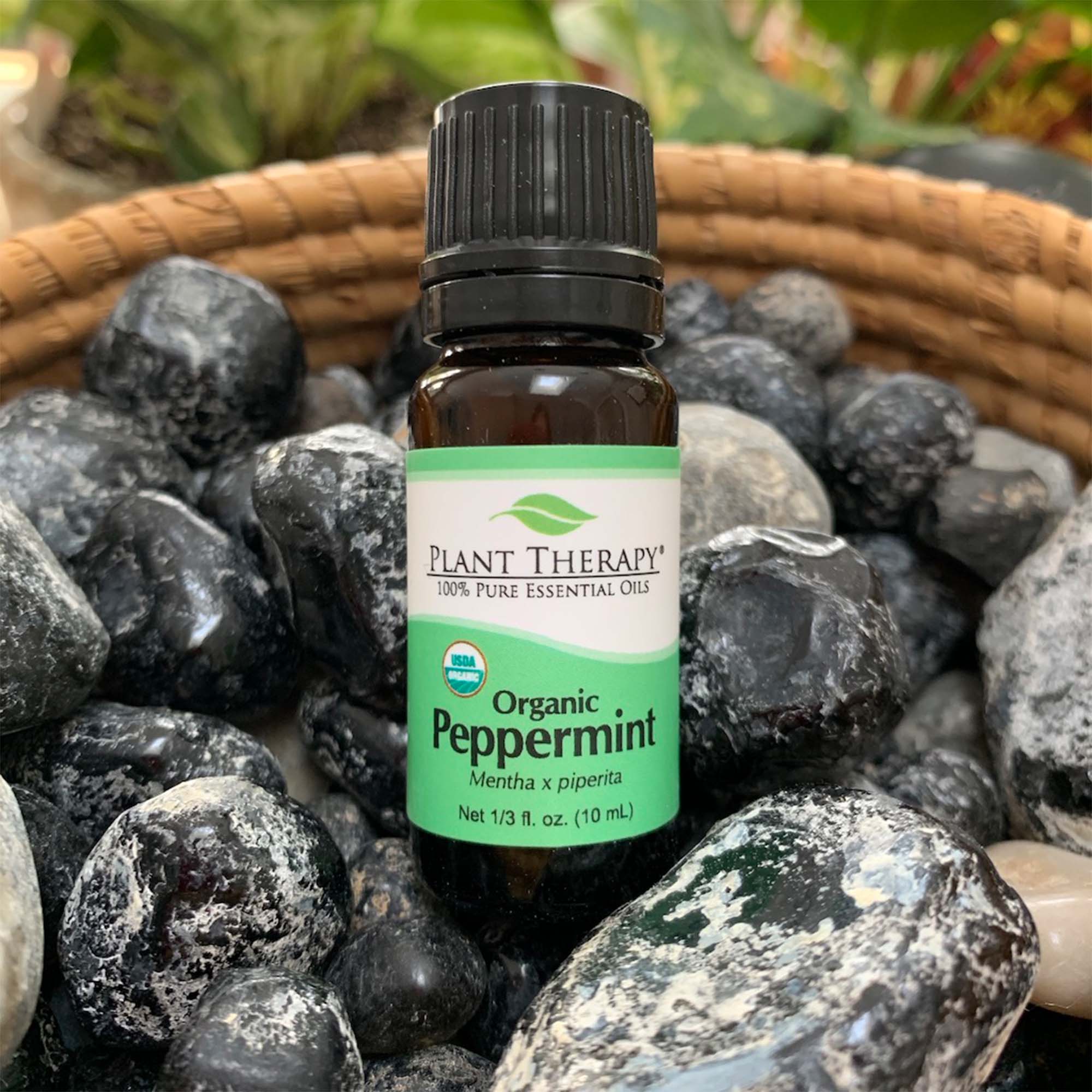 10 ml black bottle with green label. organic peppermint essential oil blend, displayed on assorted rocks