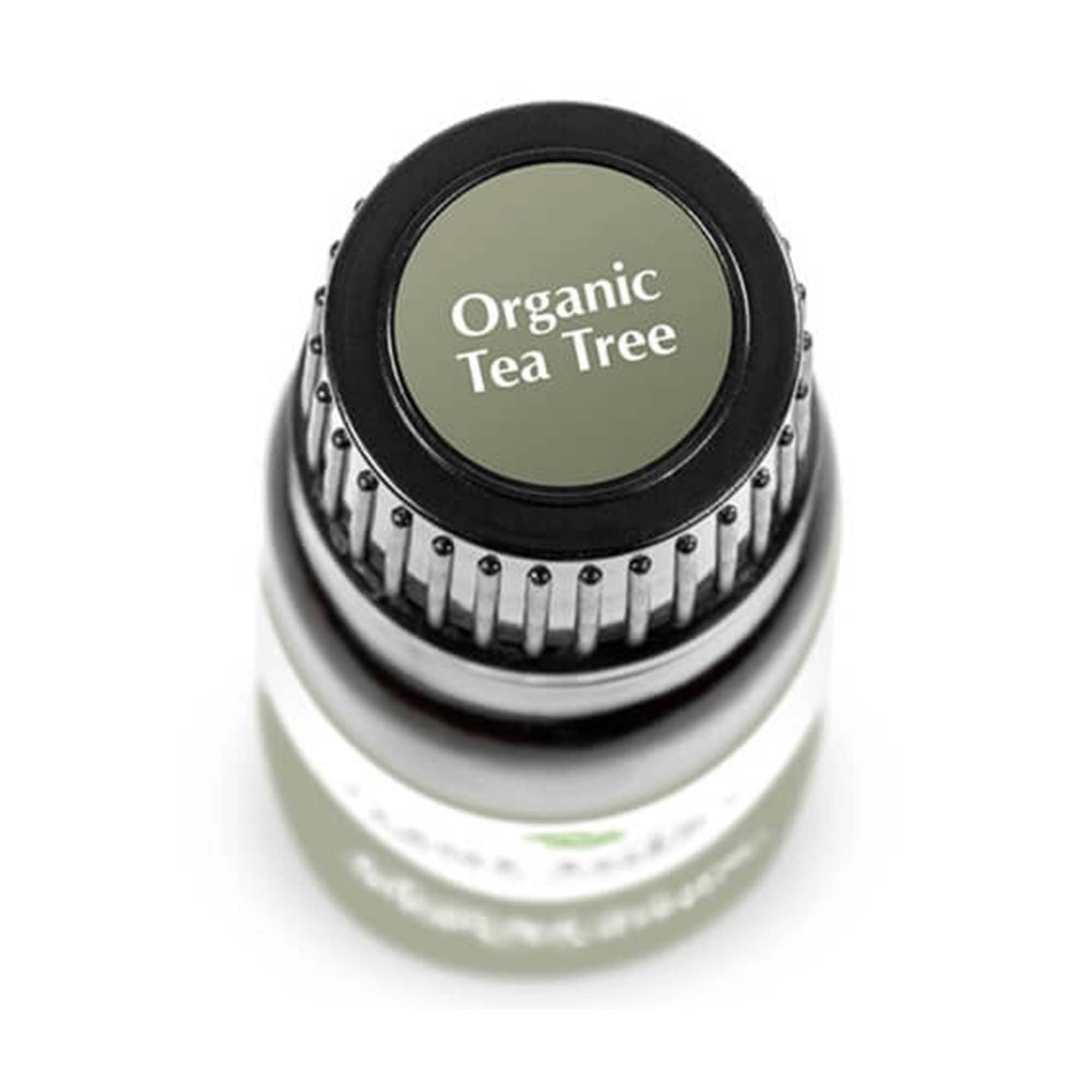 birds eye view of 10 ml black bottle with grey label. reads "organictea tree""