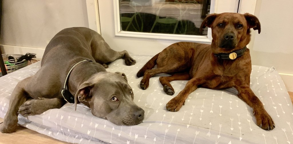 'Ticks the Season | What's Good