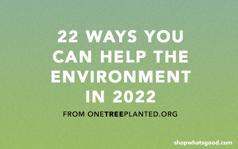 22 Ways You Can Help The Environment in 2022