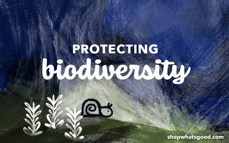 Protecting Biodiversity