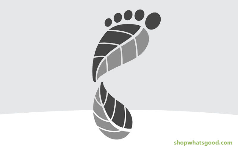 What's Your Ecological Footprint - What's Good® blog post
