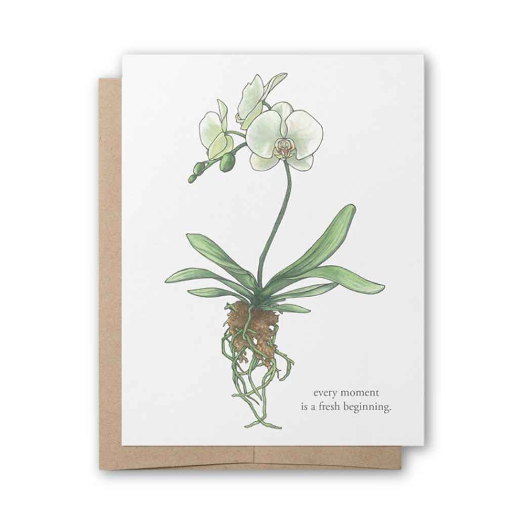 Heather Vitticore Notecards | Orchid