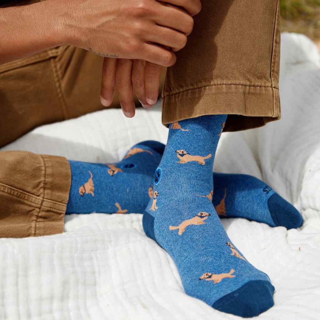 Organic Socks that Save Dogs | Golden Retrievers