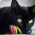 Eco Cat Toy
