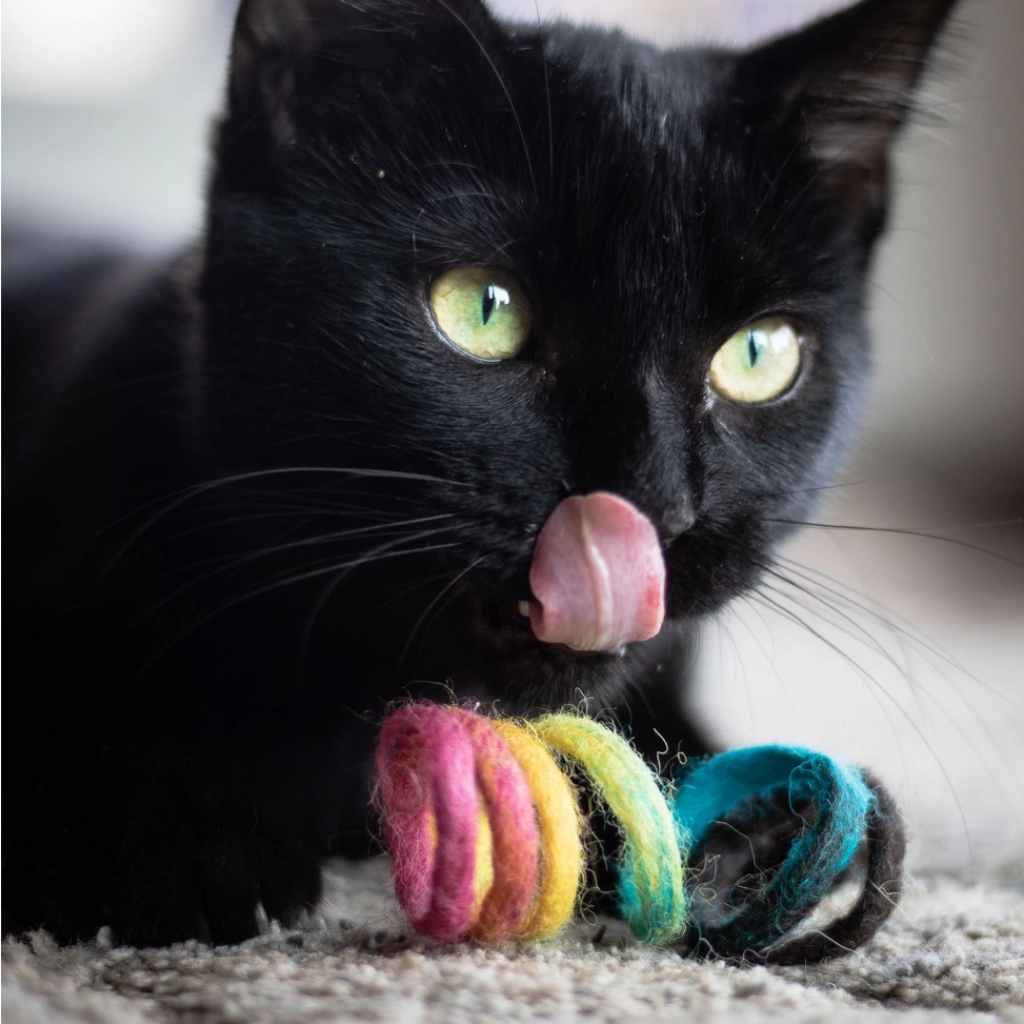 Eco Cat Toy
