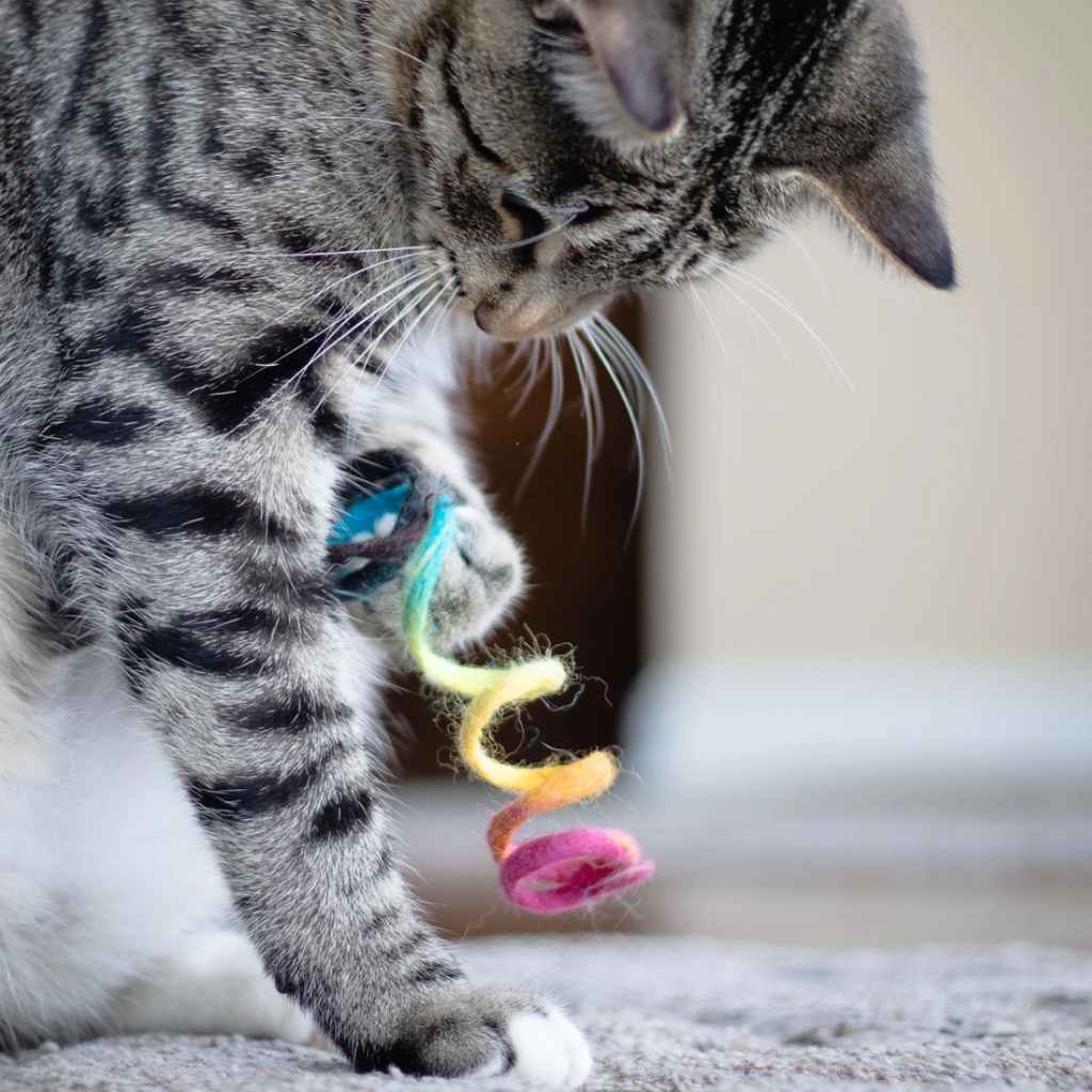 Eco Cat Toy