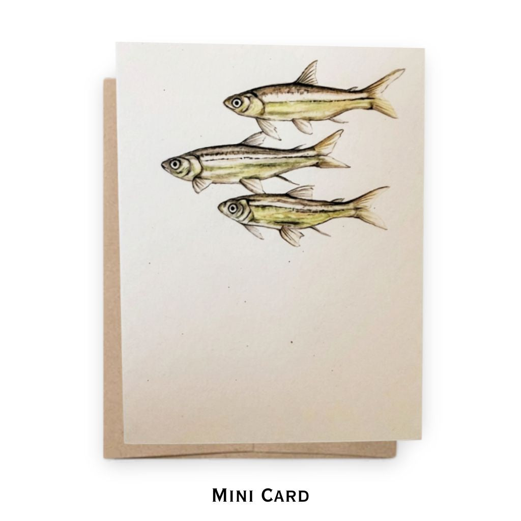 Mini Notecard | Guppies