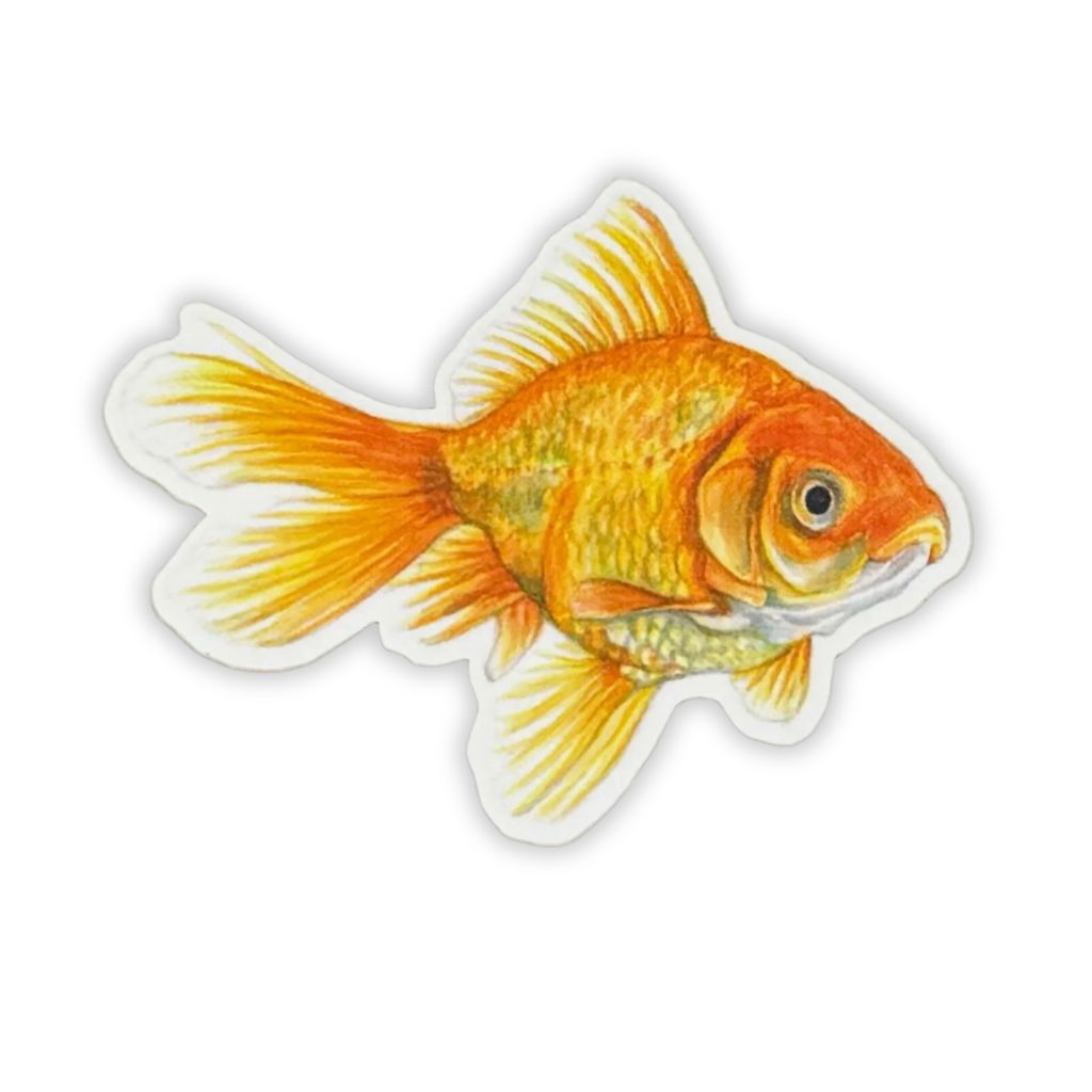 Hey Hon Stickers