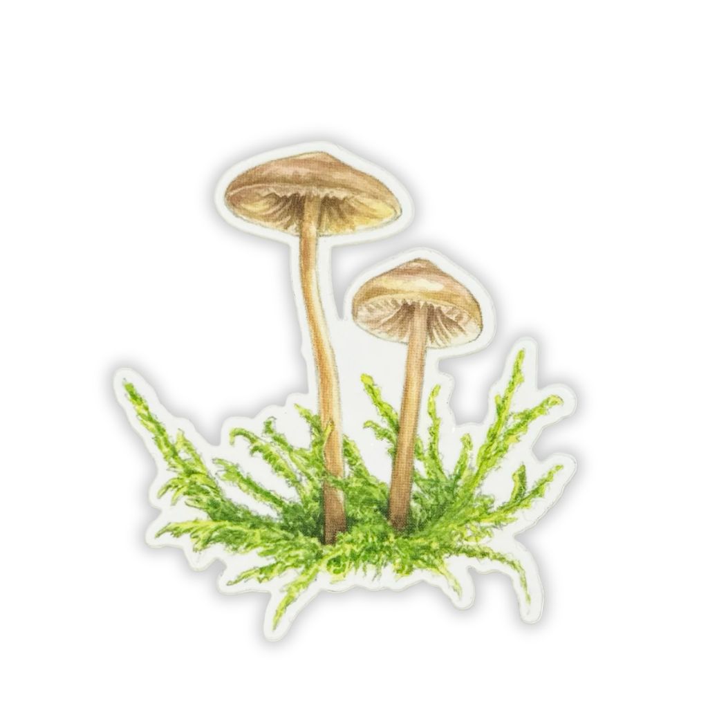 Hey Hon Stickers