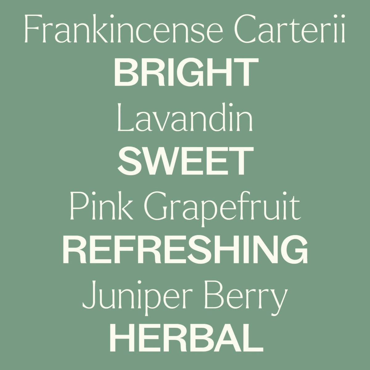 Essential Oil Blend | Zombie Blood