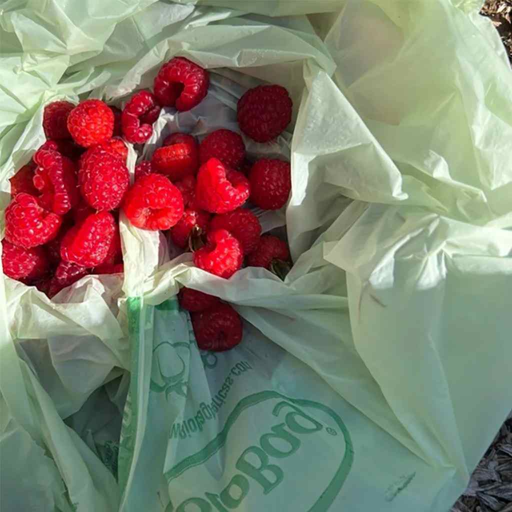 Compostable Bag  — 3 Gallon