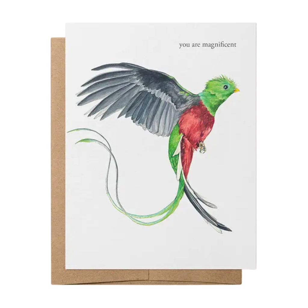 Hey Hon Card | Parrot