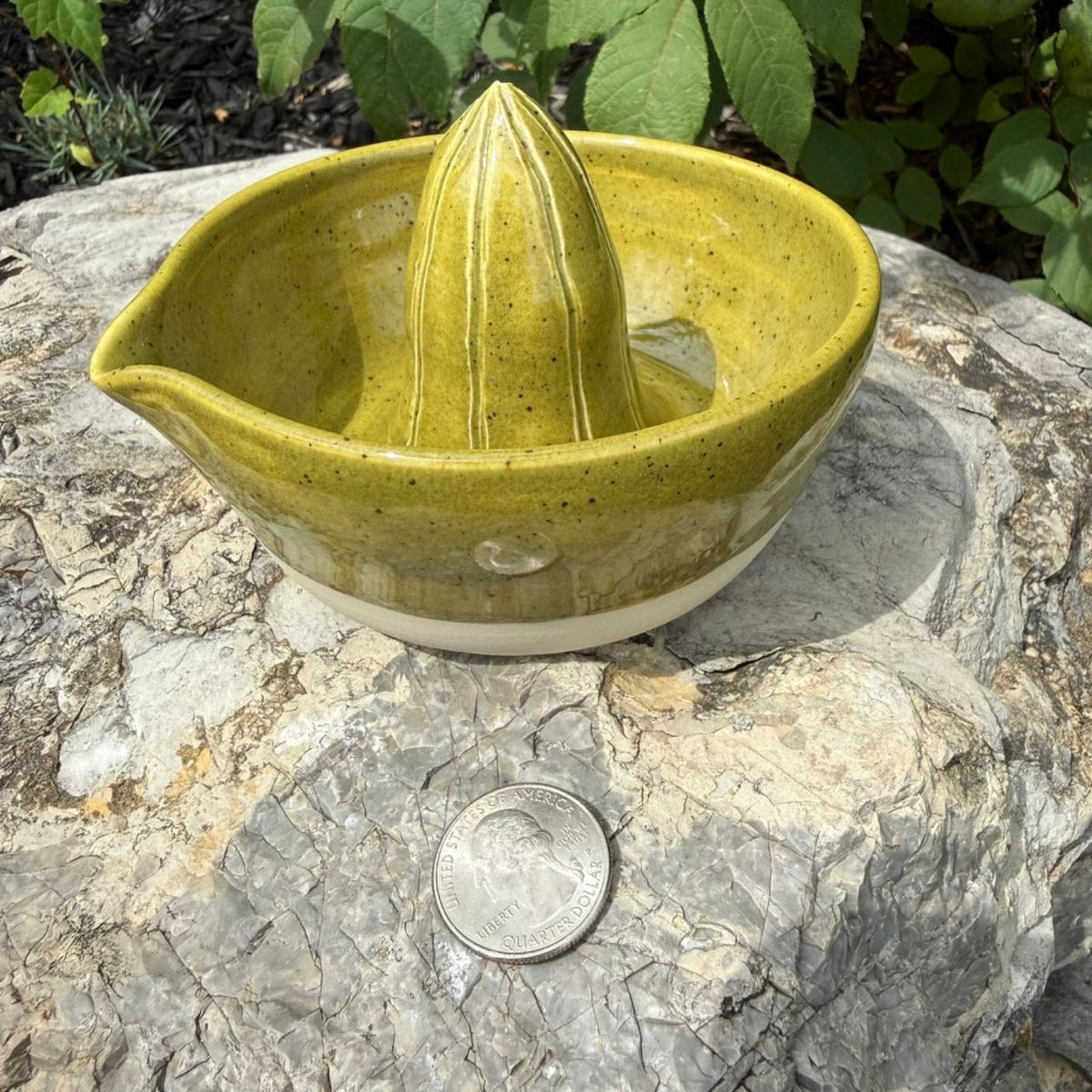 A handmade ceramic citrus juicer in a speckled olive-green glaze sits on a textured gray stone outdoors, with a US quarter coin placed below it for scale and green foliage in the background.