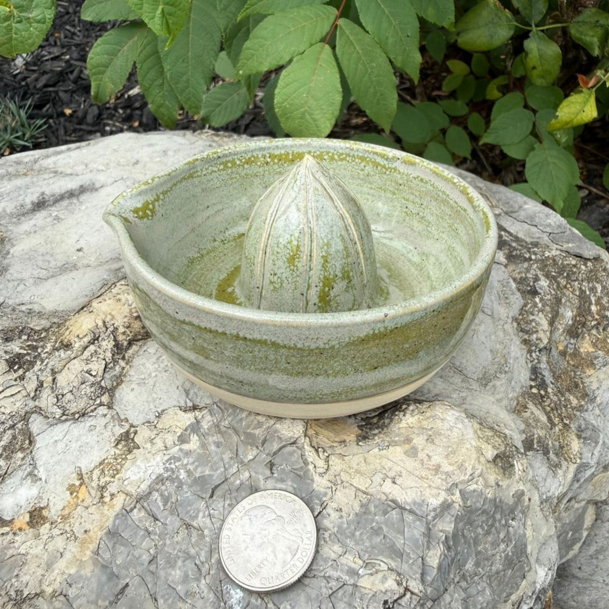 A handmade ceramic citrus juicer with a speckled sage green and cream glaze, shown on a large stone with a coin for scale and green foliage in the background.