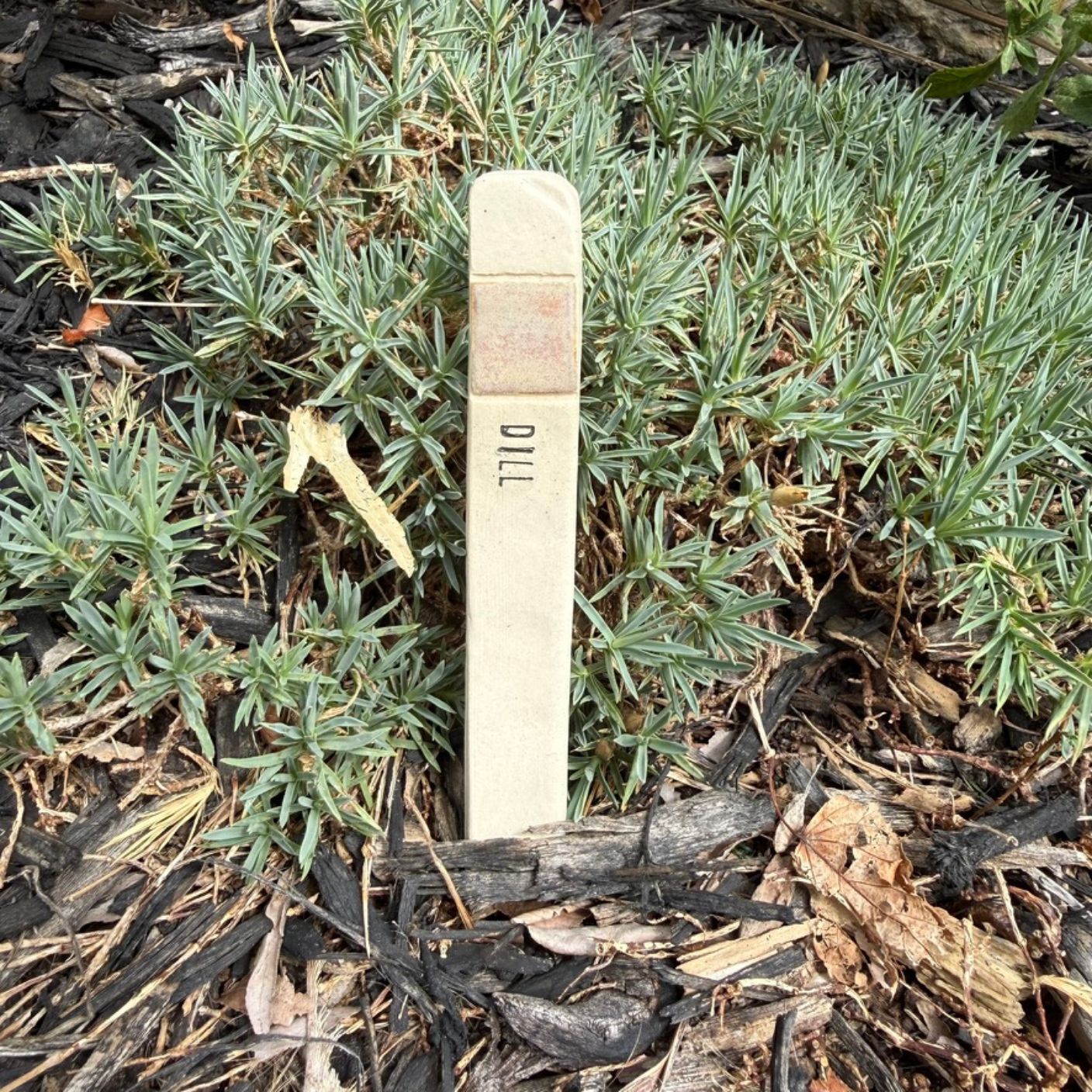 Handmade Garden Markers