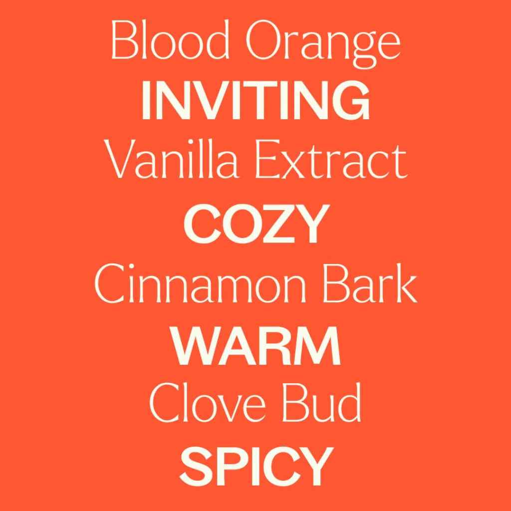 Essential Oil Blend | Pumpkin Spice