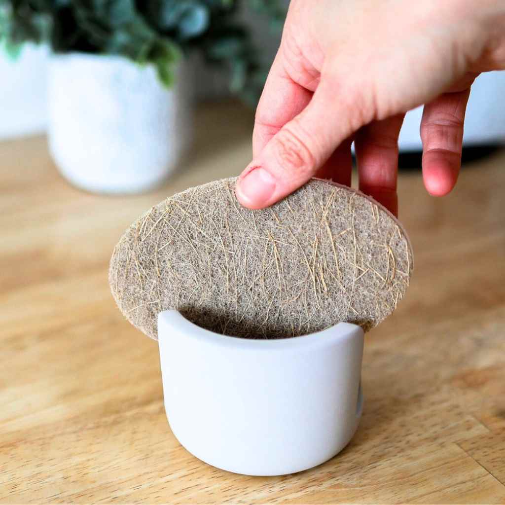 Sponge Holder | Diatomite