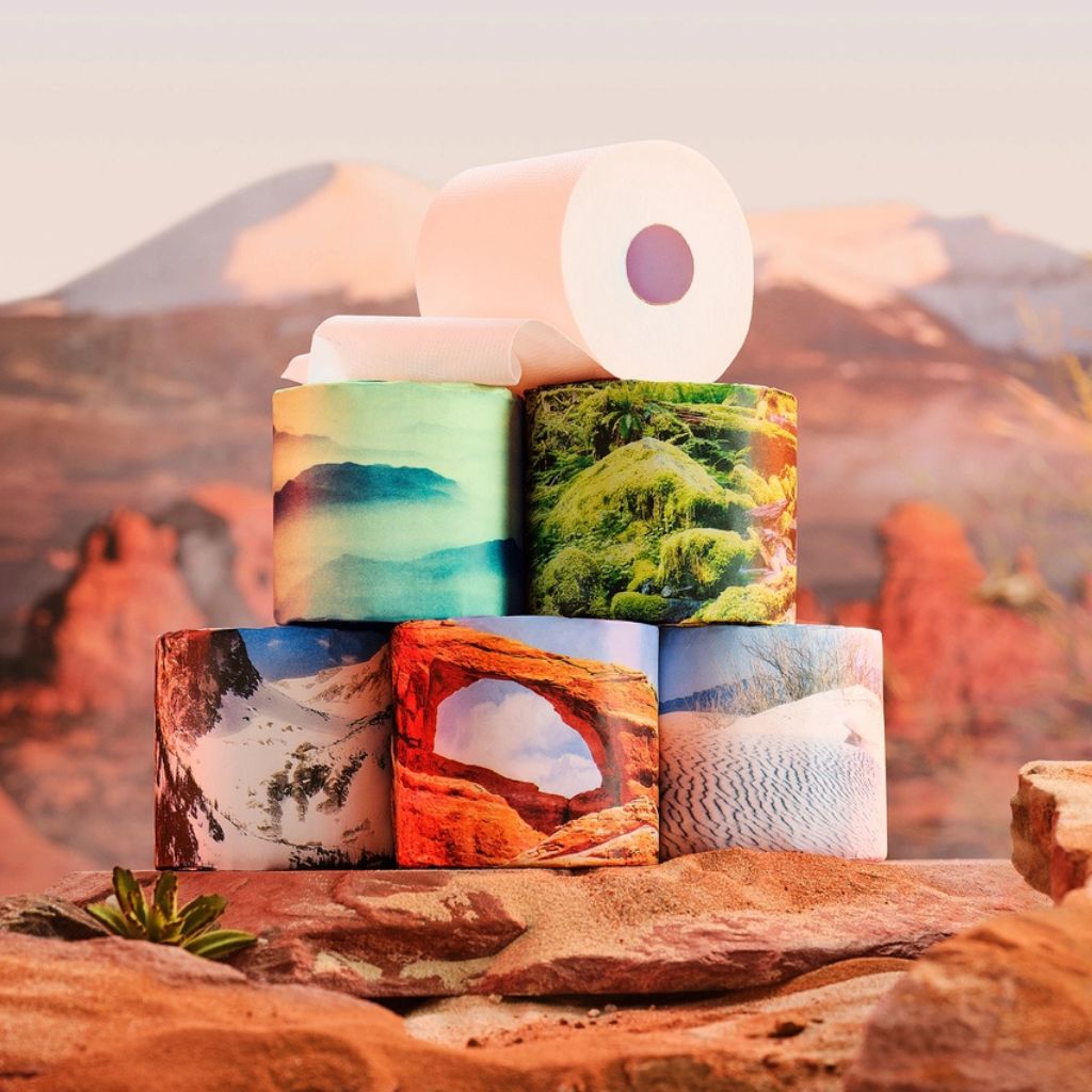 A stack of toilet paper rolls printed with colorful landscape scenes, including mountains, forests, sandstone arches, and desert dunes, set against a blurred desert canyon background.