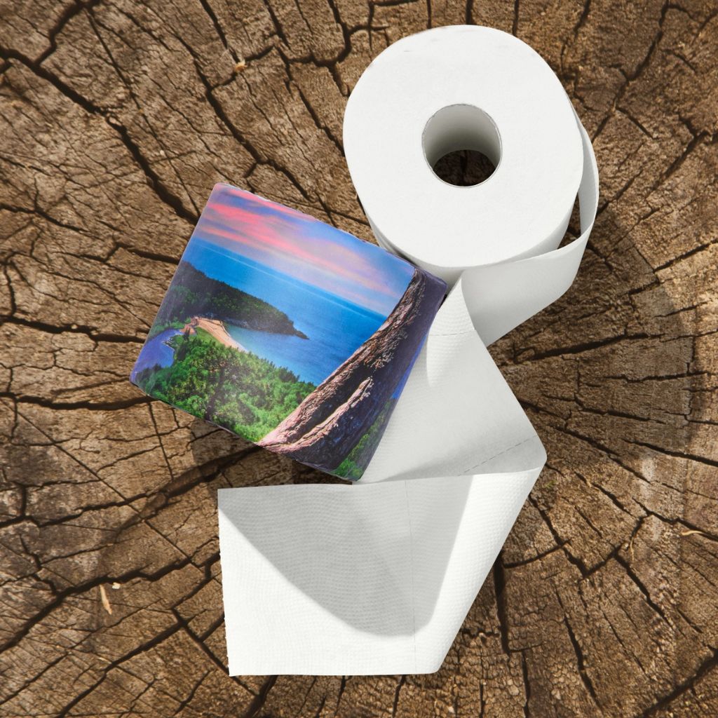 A roll of toilet paper with a printed scenic landscape label, partially unrolled on a textured wood surface.