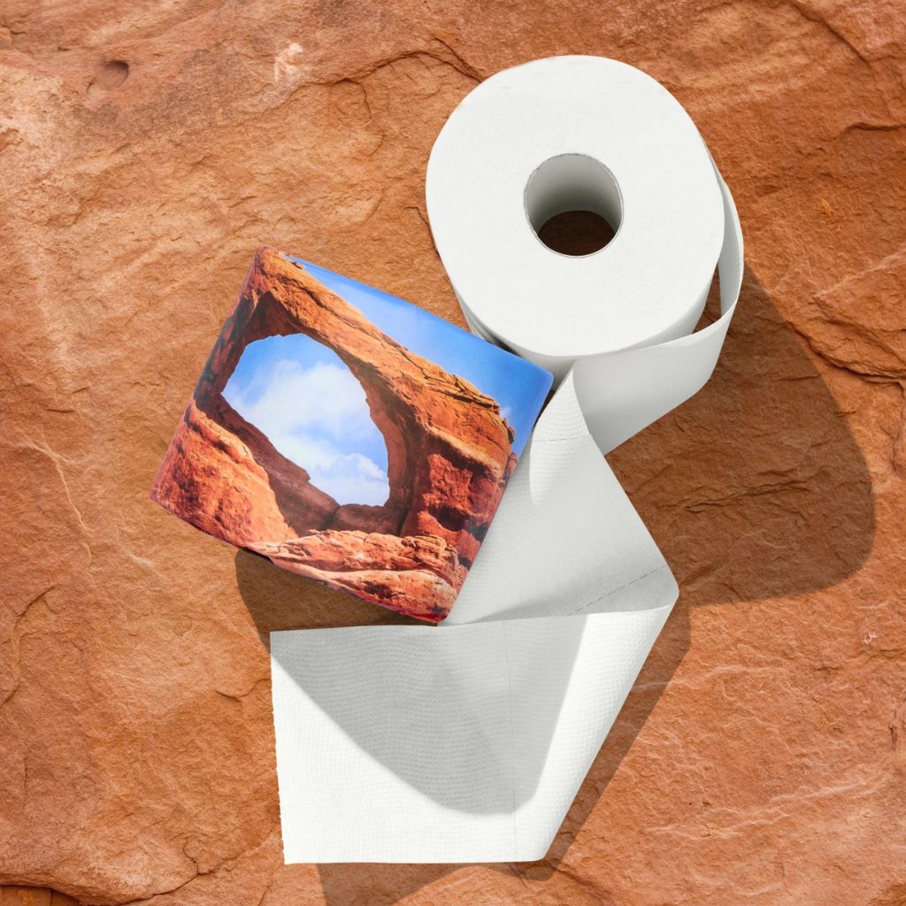 A roll of toilet paper with one end printed with a square photo of a red rock archway under a blue sky, placed on a textured brown stone surface.