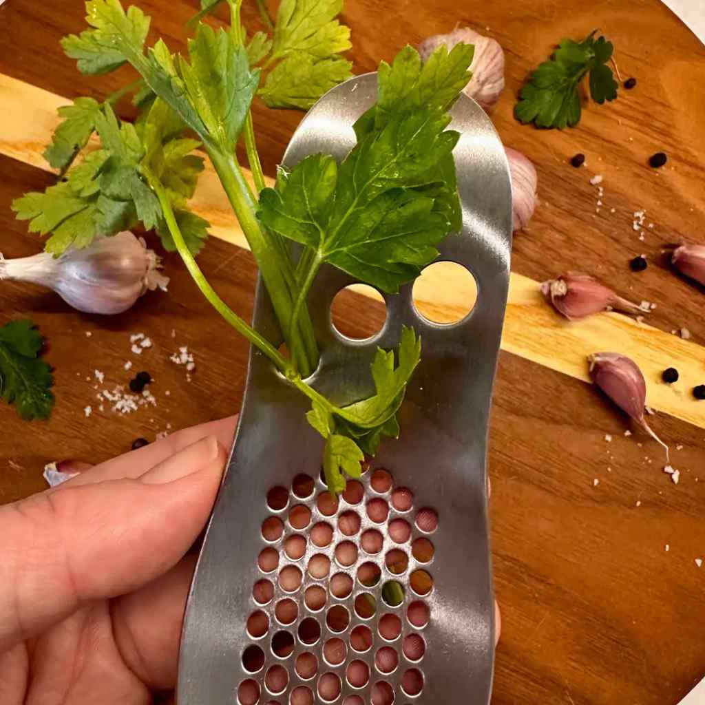 Garlic Press &amp; Herb Stripper