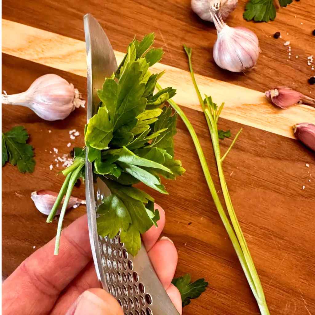 Garlic Press & Herb Stripper
