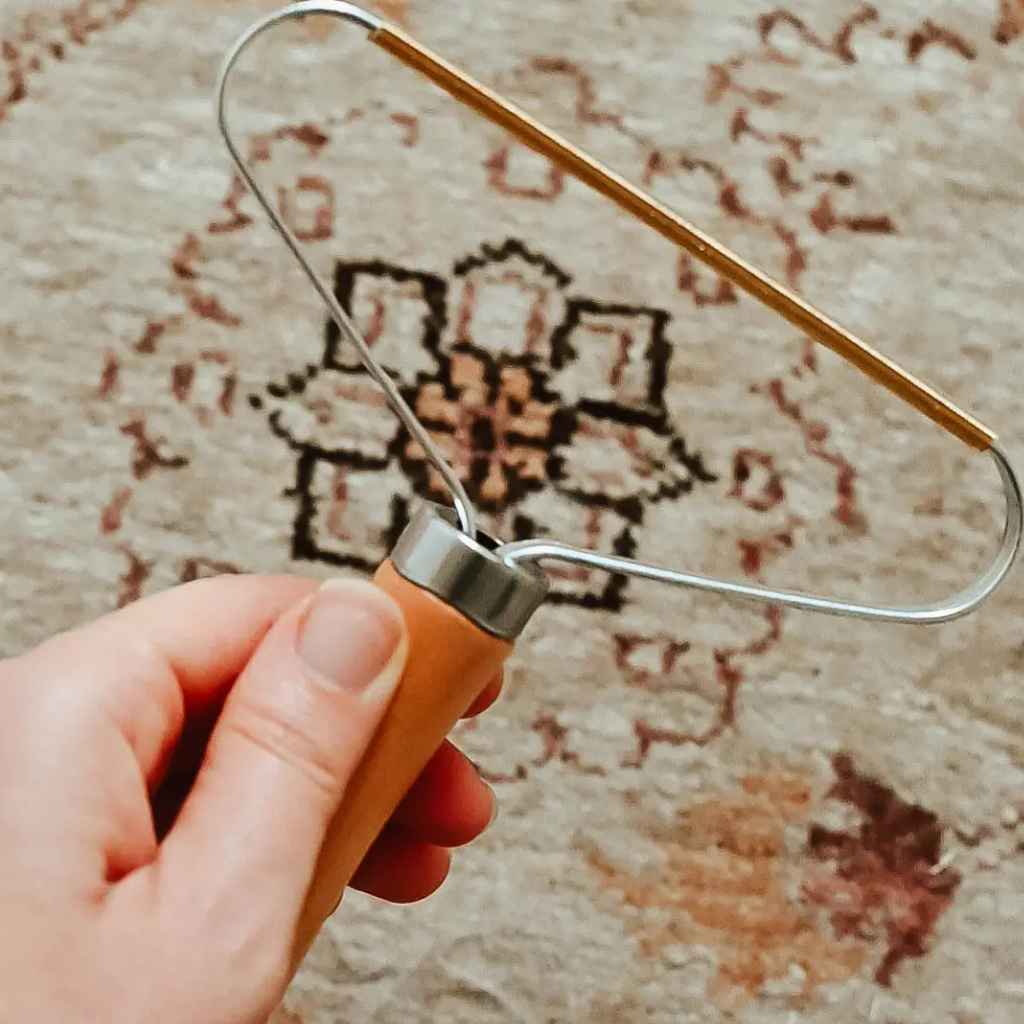 Hand holding a carpet cleaning tool over a textured rug.