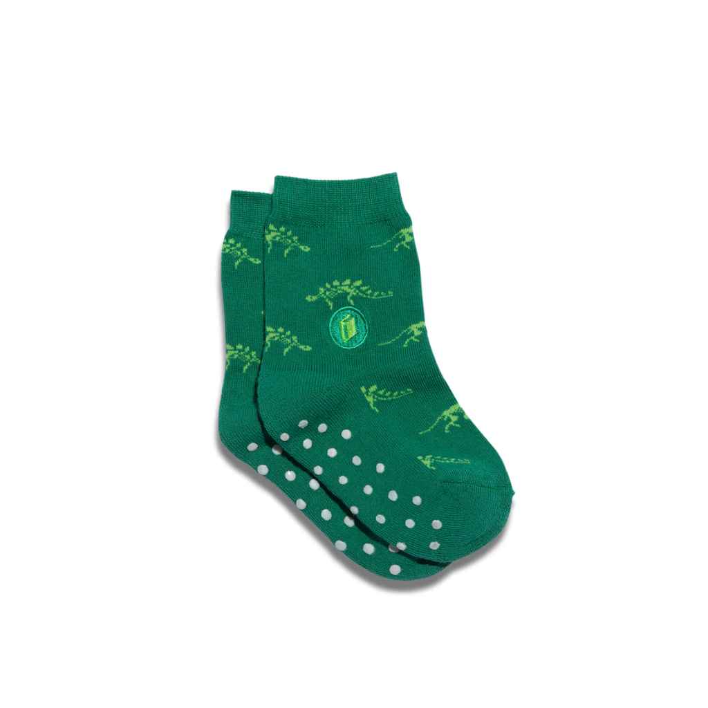 KIDS! Organic Socks that Give Books | Green Dinosaurs