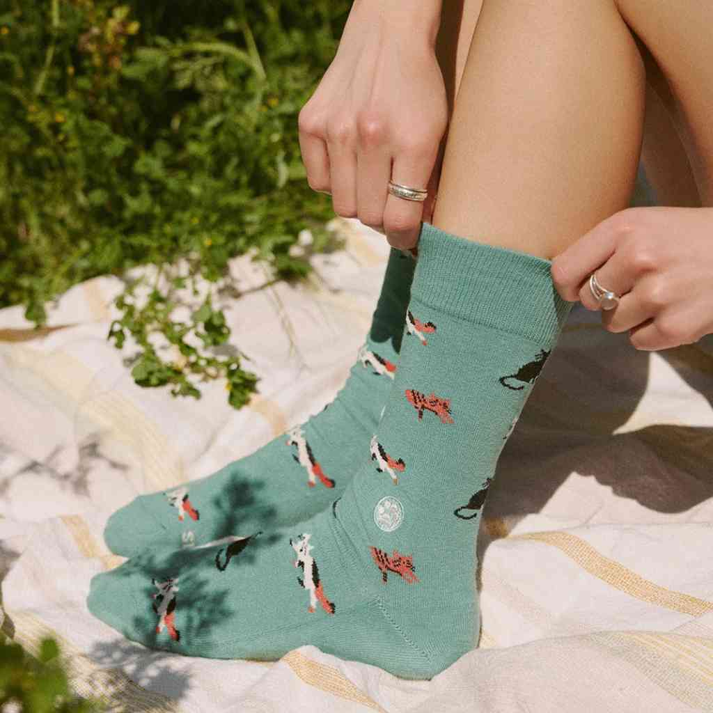 Organic Socks that Save Cats | Teal