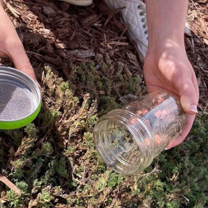 EcoJarz mason Jar bug hotel jar lid with mesh strainer. Turns any jar into a safe observation space and play area for bugs. Educational toy meant to encourage respect for wildlife and learn about habitats.