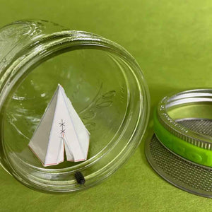 EcoJarz mason Jar bug hotel jar lid with mesh strainer. Turns any jar into a safe observation space and play area for bugs. Educational toy meant to encourage respect for wildlife and learn about habitats.