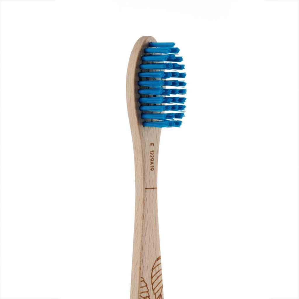 Georganics beechwood toothbrush head shown in blue (firm bristles)
