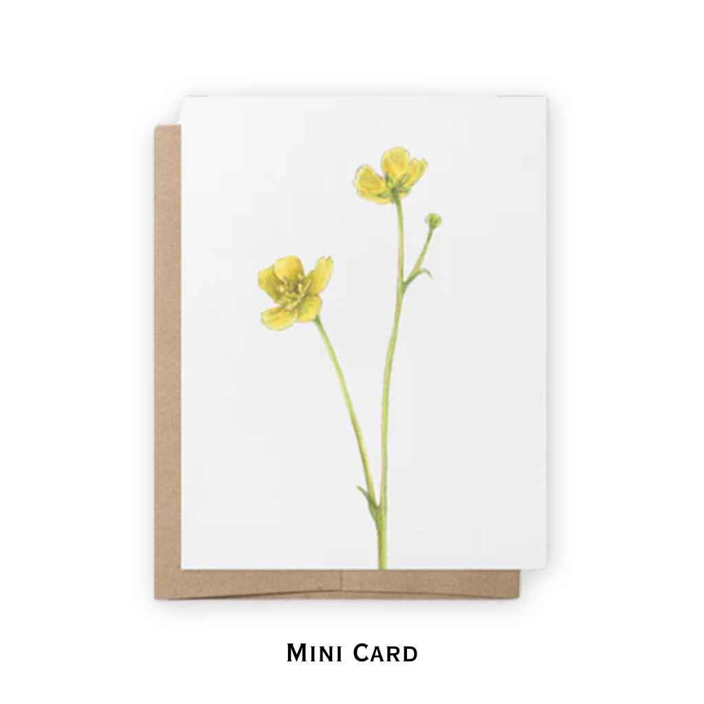 Mini Notecards | Buttercup