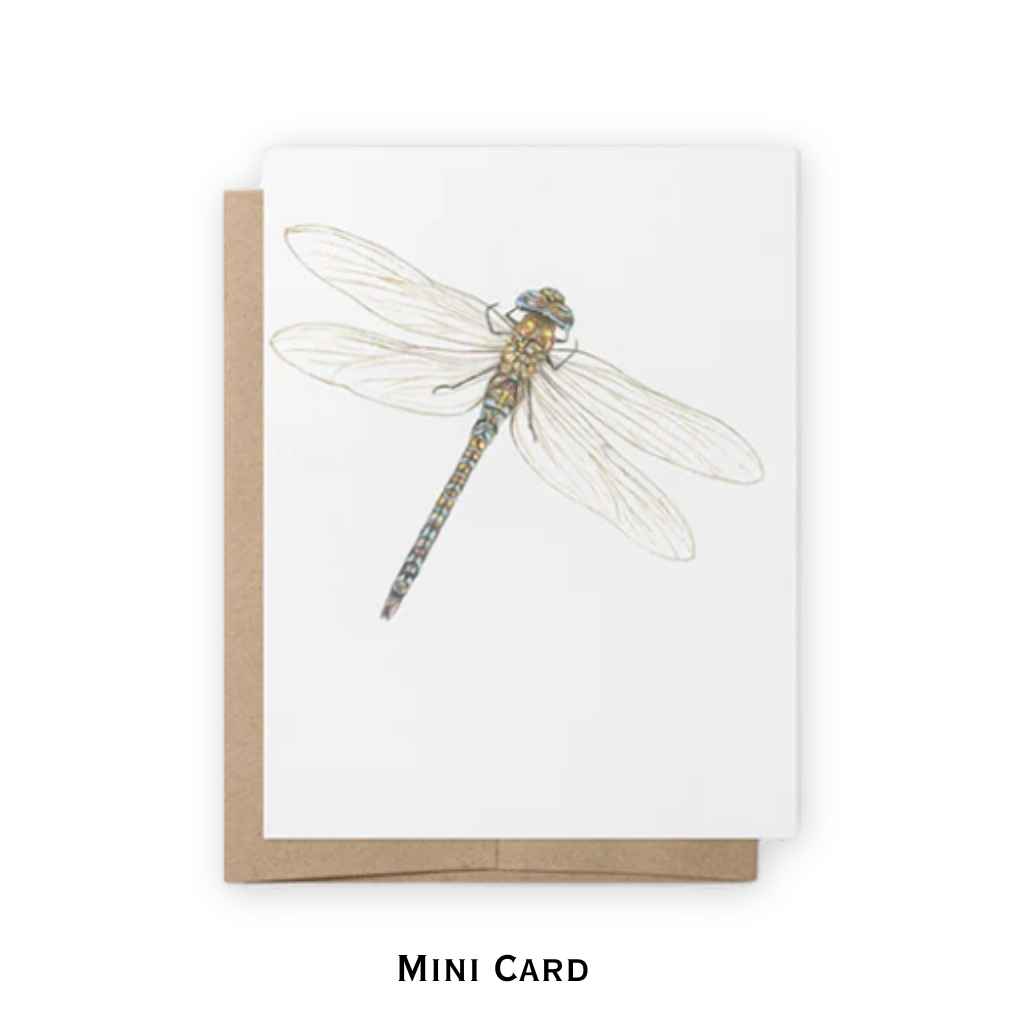 Mini Notecards | Dragonfly